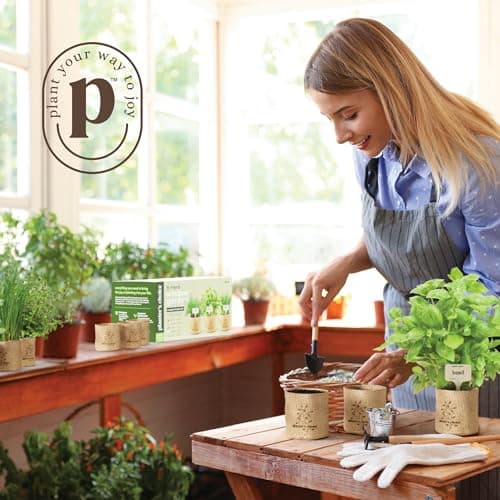 Planters' Choice 9 Herb Indoor Window Garden Kit - House Plants Seeds - Best Unique Gift Ideas for Women, Mom, Friend, Her, Birthday, Housewarming, Mother - New Home Kitchen Gifts - Live Plant Starter