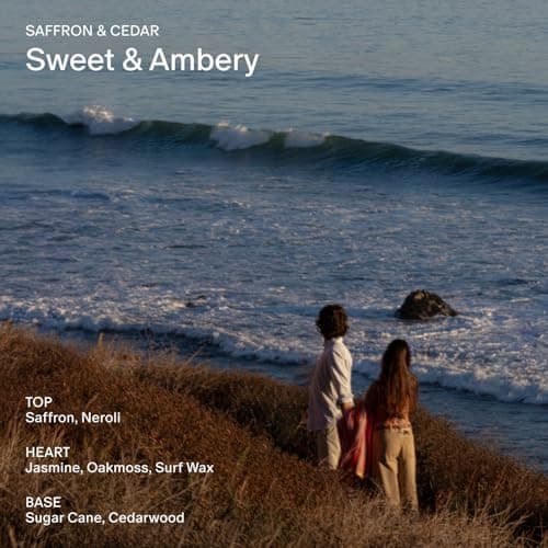 SALT & STONE Scented Candle for Women & Men | Hand-Poured, Aromatic & Fragrant | Coconut & Soy Blend Wax | 100% Cotton Wick | Long-Lasting 50 Hour Burn Time (8.5 oz) (Saffron & Cedar)