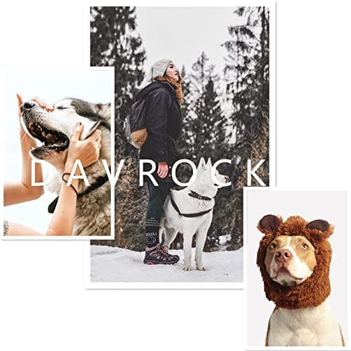 Dog Mom Gifts for Women Cat Mom Gifts for Women New Puppy Fur Baby Owners Cat Lover Mama Engraved