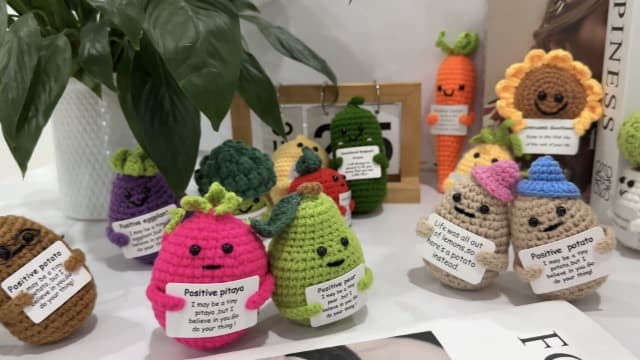 Hoedia Handmade Emotional Pickle Gift, Cucumber Crochet Doll Inspirational Gifts with Cards, Cute Knitted Funny Support Potato Friend Birthday Mothers Day Easter Basket Stuffers (Emotional Pickle)