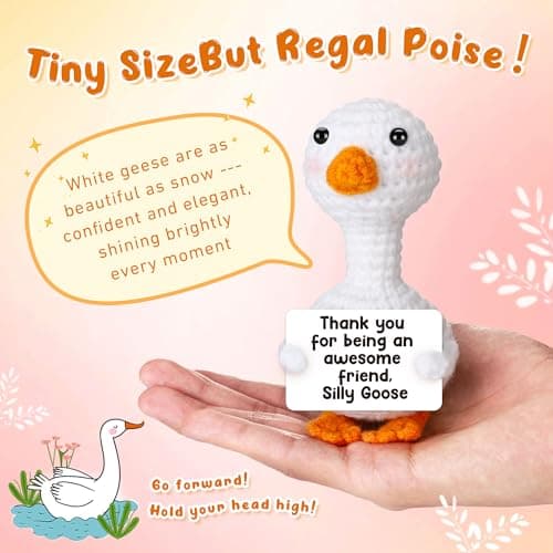 Mini Goose Best Friend Birthday Gifts for Women Men, Friendship Gifts for Her College Teen Girls, Thanksgiving Christmas Bestie BFF Long Distance Gift, Handmade Crochet Animals Funny Desk Silly Goose