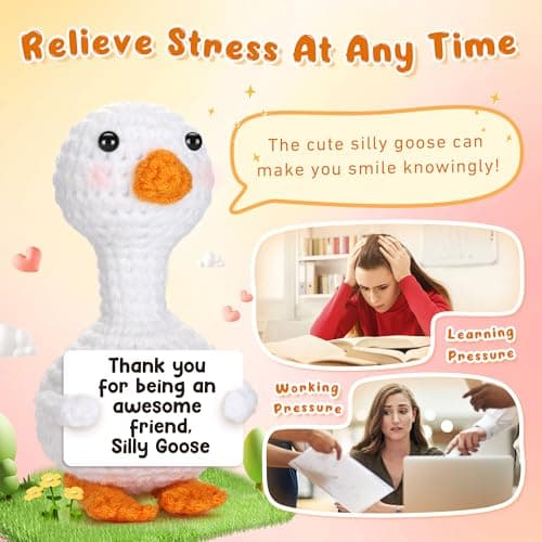 Mini Goose Best Friend Birthday Gifts for Women Men, Friendship Gifts for Her College Teen Girls, Thanksgiving Christmas Bestie BFF Long Distance Gift, Handmade Crochet Animals Funny Desk Silly Goose