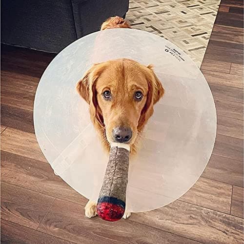 Doggy Doobie - Funny Dog Toys - Plush Squeaky Toys for Medium, Small and Large - Cool Stuffed Cute Gifts for Dog Birthday