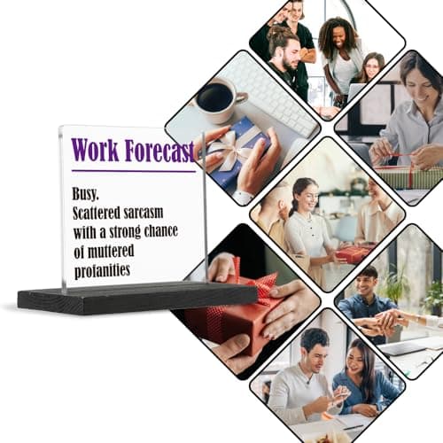 THRXOBN Cute Desk Decor for Coworker, Funny Profanity Gift for Work Colleague, Employee, Joke Birthday Office Gift for Coworker,Transparent Acrylic Desk Decoration, WYZ1