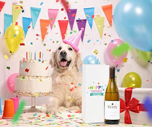 BagDream Kraft Paper Bags 5.25x3.25x13 Inches 50Pcs White Paper Wine Gift Bags with Handles Bulk for Wine, Gift, Retail, Party Favor