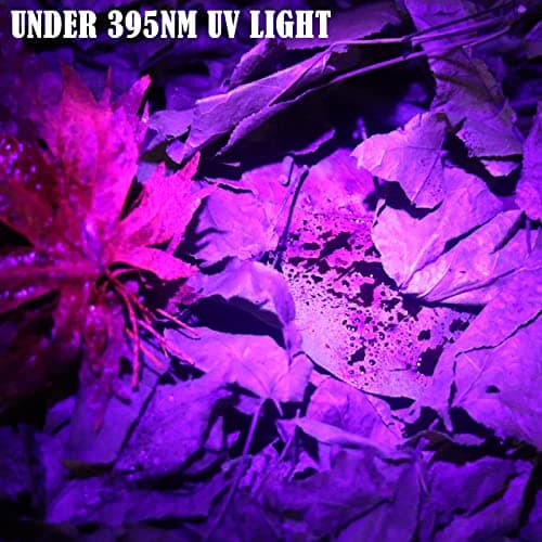 LUMENSHOOTER LUMENSHOOTER B2 Blood Tracking Light for Deer, Blood Tracker Flashlight for Hunting, Deer Hunting Accessories for Men