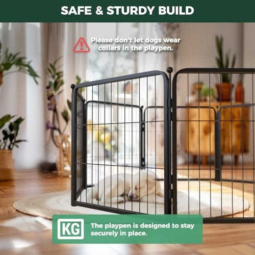 brainPLAY Halloween Puzzles: A Challenging Halloween Activity Book for Kids Ages 7 and Up with Over 200 Puzzles, Logic Games, Mazes and Hidden ... Spook-tacular Fun (brainPLAY Puzzle Books)