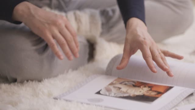 Pearhead Cat Bum Kitchen Magnets, Pet Themed Refrigerator Magnets, Funny Novelty Gift for Cat Lovers and Pet Parents, Ideal Decor for Home, School Locker and Office Whiteboard, Set of 4