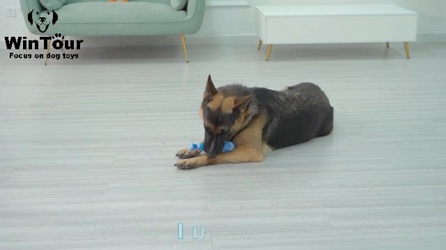 WinTour Tough Dog Toys for Aggressive Chewers, Indestructible Dog Chewers for Medium & Large Breeds, Squeaky Durable Chew Toys to Keep Them Busy, Reduce Boredom, Teeth Cleaning, Bacon Flavor