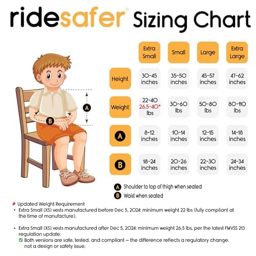 Small Black, Lightweight, Compact, Portable Car Seat - Perfect for Travel and Everyday Child Safety