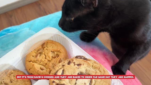 David's Cookies 2lbs Assorted Flavors Fresh Baked Cookies - Handmade and Gourmet Cookies - Delectable and Made with Premium Ingredients - Cookie Gift Basket - Great Gift For All Occasions