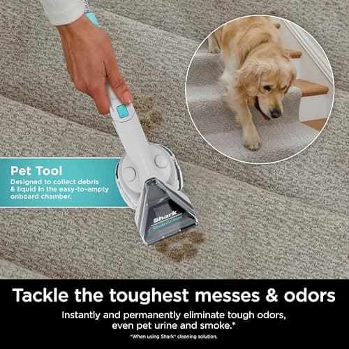 Shark StainStriker Portable Carpet, Upholstery & Area Rug Cleaner with Pet Mess Tool, Stain & Odor Remover, Perfect for Car Interiors, Includes 3 Cleaning Tools & Cleaning Solution, White, PX201