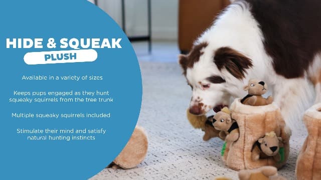 Outward Hound Hide A Squirrel Plush Dog Toy Puzzle, XL
