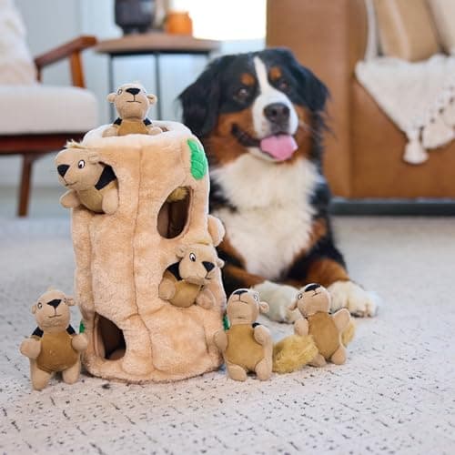 Outward Hound Hide A Squirrel Plush Dog Toy Puzzle, XL