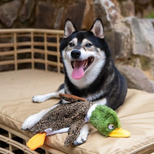 Best Pet Supplies 2-in-1 Stuffless Squeaky Dog Toys with Soft, Durable Fabric for Small, Medium, and Large Pets, No Stuffing for Indoor Play, Supports Active Biting and Play - 1Wild Duck, Small
