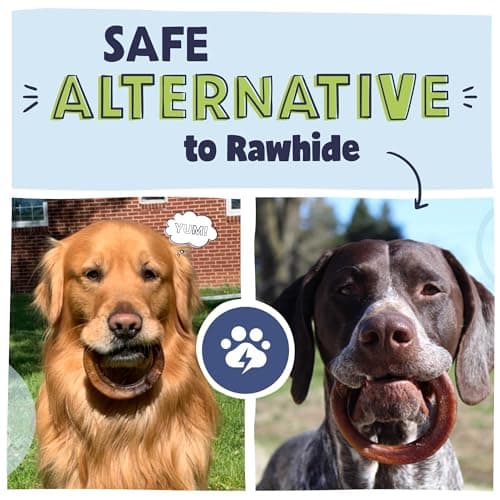 Pawstruck All-Natural 4" Bully Stick Rings for Dogs - Rawhide-Free, 100% Beef, Single Ingredient Dental Chew Bones - Fully Digestible, Low Odor - 10 Count - Packaging May Vary