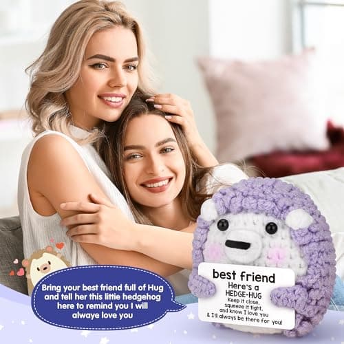 Best Friend Birthday Gifts for Women, Christmas Decorations for Bestie BFF Sister, Friendship Gifts for Women Friends Her Him Female Male Boys Girls, Funny Handmade Crochet Hedgehog Stocking Stuffers