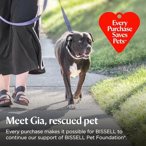 Bissell Pet Hair Eraser Allergen Lift-Off with Powerful Suction, HEPA, Tangle-Free Brush Roll, 39883