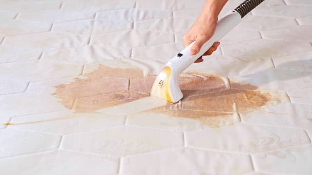 uwant Carpet Cleaner Machine 18Kpa Powerful Suction, Portable Carpet Cleaner for Pet Stains with Cleaning Tools&Solution Self-Cleaning Upholstery Cleaner for Car, Couch, Rug, Spot