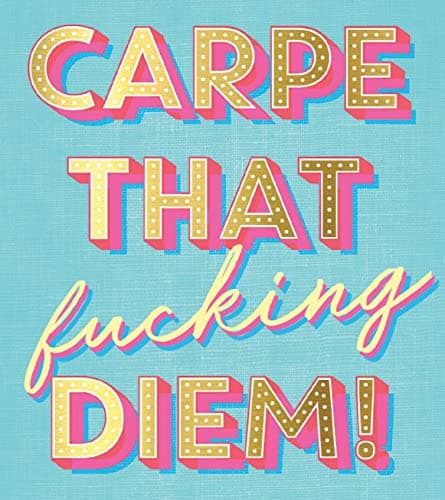 Ray of F*cking Sunshine Sticky Notes: 101 Happiness Notes to Swear and Share, a Funny and Inspirational White Elephant Gift (Calendars & Gifts to Swear By)