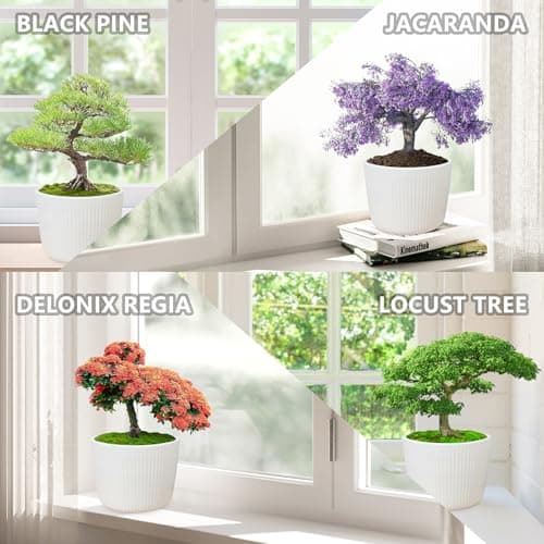 Bonsai Tree Kit – DIY Japanese Bonzai Trees with All-in-One Indoor Plant Growing Tools & Planters – Unique Gardening Gifts for Women, Men & Kids