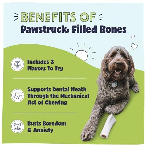 Pawstruck Large 5-6” Filled Dog Bones Variety Pack - Peanut Butter, Cheese & Bacon, Beef Flavors - Made in USA, Long Lasting Stuffed Femur Treat for Aggressive Chewers - Pack of 3, Packaging May Vary
