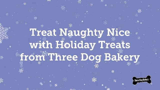 Three Dog Bakery CinnaMutt Roll Crunch, 5 oz Festive Dog Bones, Holiday & Christmas Dog Training Treats, Puppy Training Rewards