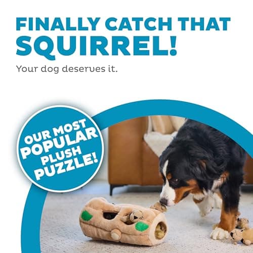 Outward Hound Hide A Squirrel Plush Dog Toy Puzzle, XL