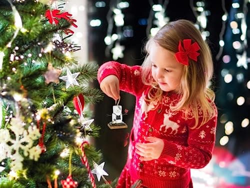 2025 Smores Ornament, Birdwatcher Gifts, Cardinal Christmas Ornaments, Bird Ornament, Includes Hangtag w Year, Comes in Gift Box