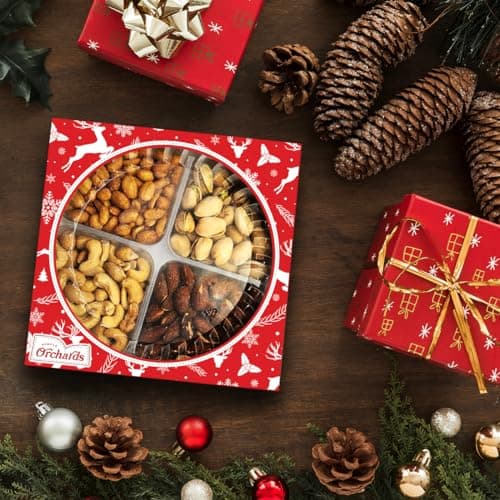 Christmas Nuts Gift Basket for Holiday Season, Premium Mixed Nut Assortment Gift Gourmet Snack Food Present Box, Christmas Gift Basket for Family (4 Sectional)