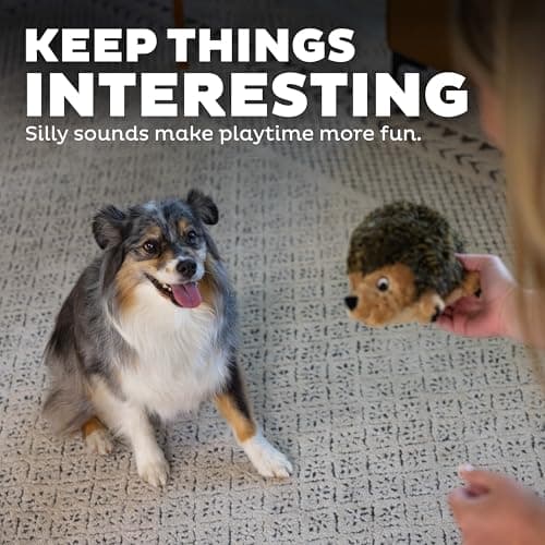 Outward Hound, Hedgehogz Plush Dog Toy, Medium