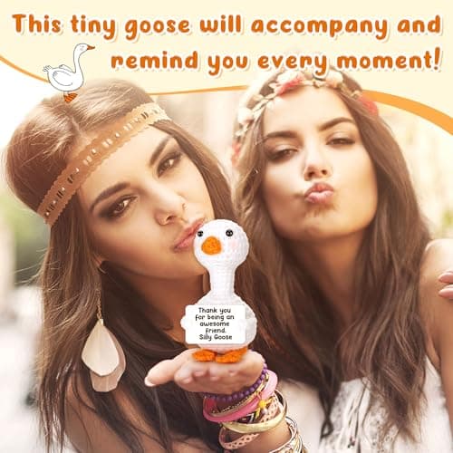 Mini Goose Best Friend Birthday Gifts for Women Men, Friendship Gifts for Her College Teen Girls, Thanksgiving Christmas Bestie BFF Long Distance Gift, Handmade Crochet Animals Funny Desk Silly Goose