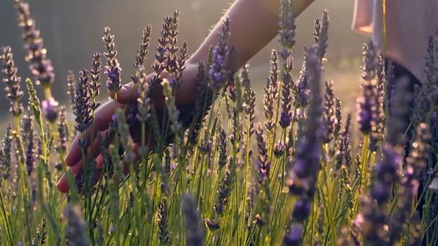 Gifts for Him Boyfriend Husband Men Couples Gift Ideas, Romantic Valentines Day Gift for Him, Naughty Boyfriend Birthday Gifts, Funny Anniversary Presents for Men Husband Couple, Christmas, Candles