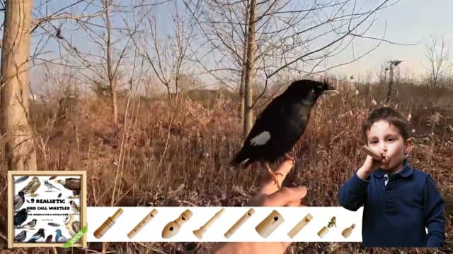 ZDH 9-Piece Wooden Bird Call Set – Handcrafted Bird-Call in Acrylic Wooden Box for Birdwatchers, Nature Lovers, Outdoor Exploration & Education All