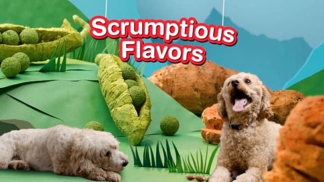 Dreambone Triple Flavor Twisties, 25 Count, Rawhide-Free Dog Chews Made with Real Beef, Pork & Chicken, 7.05 Ounce (Pack of 1)