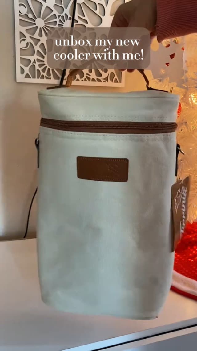 Tirrinia 2 Bottle Insulated Wine Tote Carrier - Leakproof, Padded Cooler Bag for Travel, BYOB, Tasting, Parties - Great Gift for Wine Lovers, Striped