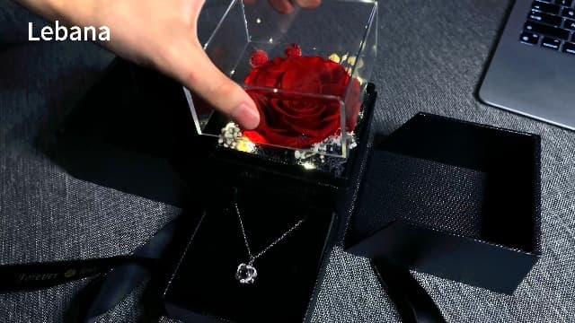 Preserved Red Real Rose with Heart I Love You Necklace -Eternal Flowers Rose Birthday Gifts for Women Her Mom Wife Girlfriend Grandma on Valentines Mothers Day Christmas Anniversary Romantic-Red