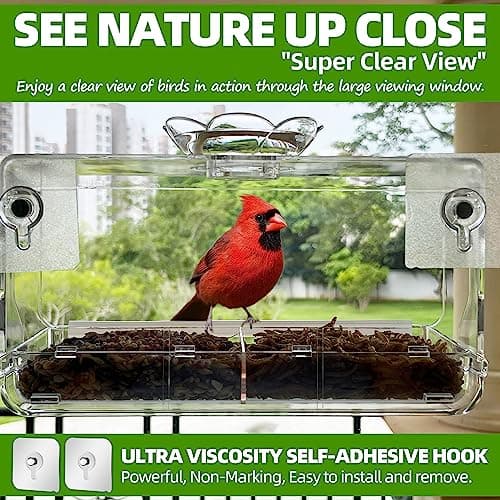 Window Bird Feeder with Non-Marking Self-Adhesive Hooks, Clear and Transparent, Outdoor Wild Bird Watching Gift, Garden Decor (Standard)