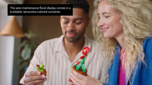 LEGO Botanicals Tiny Plants - Artificial, Fake Indoor Plant Building Set for Home, Kitchen, Desk Decoration, Adults Ages 18+ - Gift for Birthdays - 10329