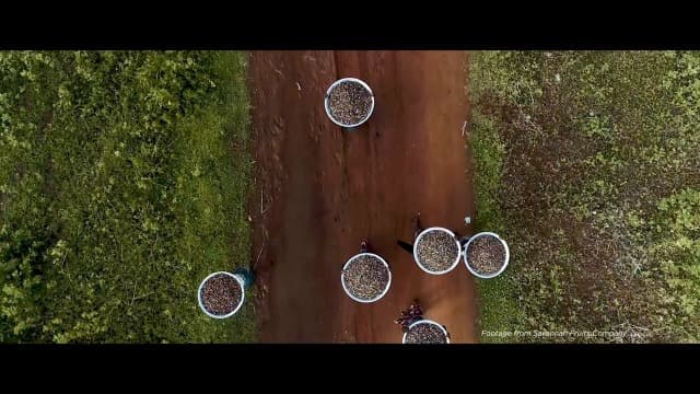 Burt's Bees Back To School Gifts Ideas - Classics Set, 6 Products in Giftable Tin – Cuticle Cream, Hand Salve, Lip Balm, Res-Q Ointment, Hand Repair and Foot Cream