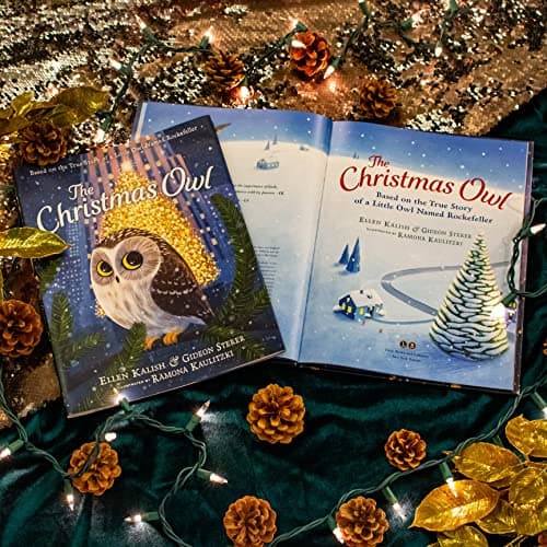 The Christmas Owl: Based on the True Story of a Little Owl Named Rockefeller