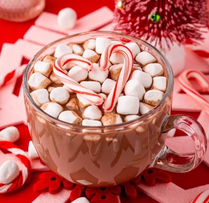 Gourmet Hot Chocolate Gift Sets - 62 Piece Care Package of Hot Cocoa, Apple Cider, Candy Canes, Mini Marshmallows, Popcorn Balls, Cookies, Candy, and Snacks. - Christmas Gift Set from The LakeHouse