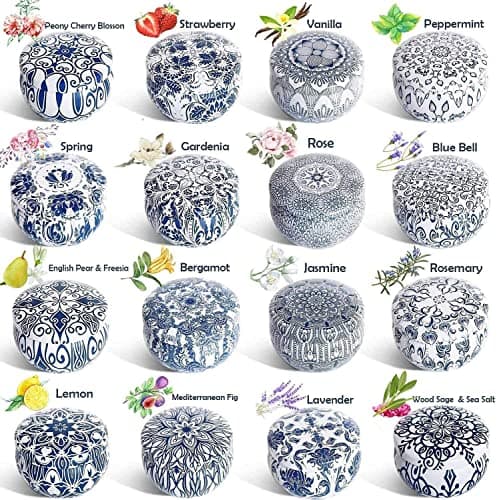 Scented Candles Gifts Set 16 Pack Soy Wax Travel Tin Jar Candles for Home 2.5 OZ for Mom for Christmas, Birthday, Thanksgiving, Mother's Day