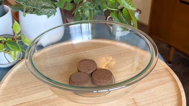 Bonsai Tree Kit for Beginners – 5X Unique Japanese Bonzai Trees | Complete Indoor Starter Kit for Growing Bonsai Plants with Tools & Planters – Gardening Gifts for Women & Men