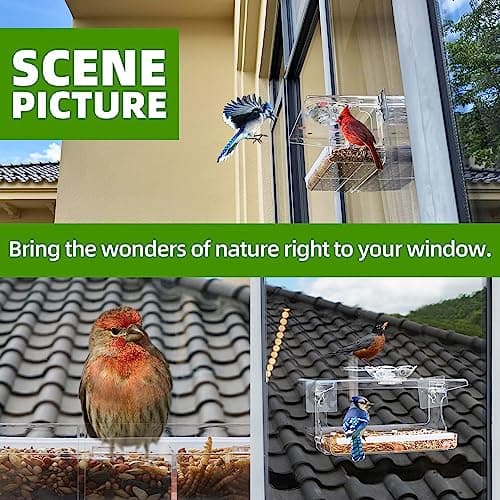 Window Bird Feeder with Non-Marking Self-Adhesive Hooks, Clear and Transparent, Outdoor Wild Bird Watching Gift, Garden Decor (Standard)