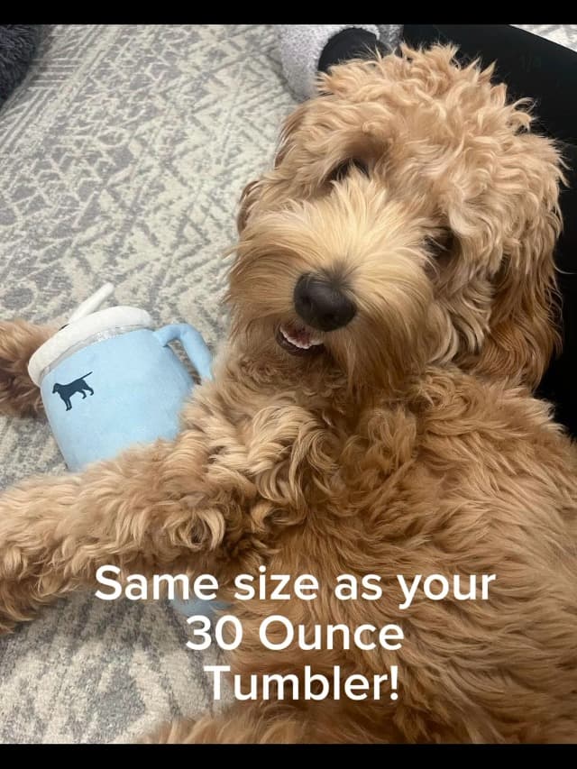 Pup Cup Tumbler Dog Toy – Birthday Dog Toy, Funny Squeaky Plush Puppy Gift, Cute Birthday Present (Pink Peach Dust)