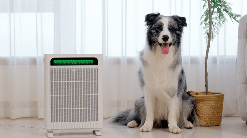 KNKA Air Purifier for Home Bedroom Large Room Up to 3,500 Ft², HEPA Air Cleaner with Washable Pre-Filter, AHAM VERIFIDE, AQI Display, ECO Mode, Pet Mode for Pets, Allergies, Dust, Pollen, APH4000