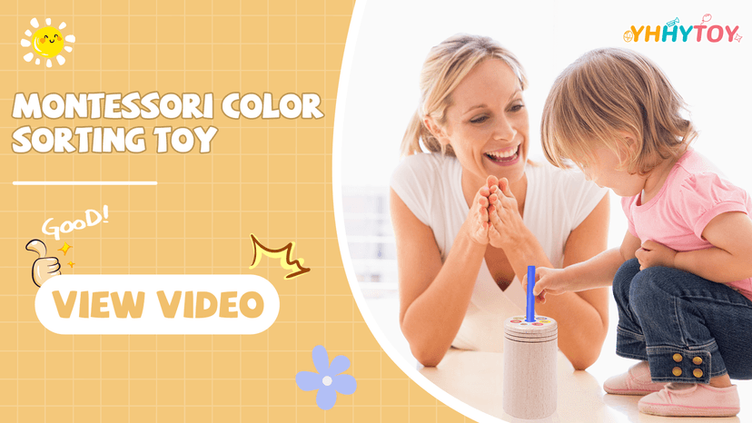 Montessori Toys for 1+ Year Old, Toddler 18 Month Old Toy Color Sorting Preschool Learning Activities, Fine Motor Skills Sensory Toys for Toddlers 1-3, 1 2 3 Year Old Girl Boy Baby Gifts