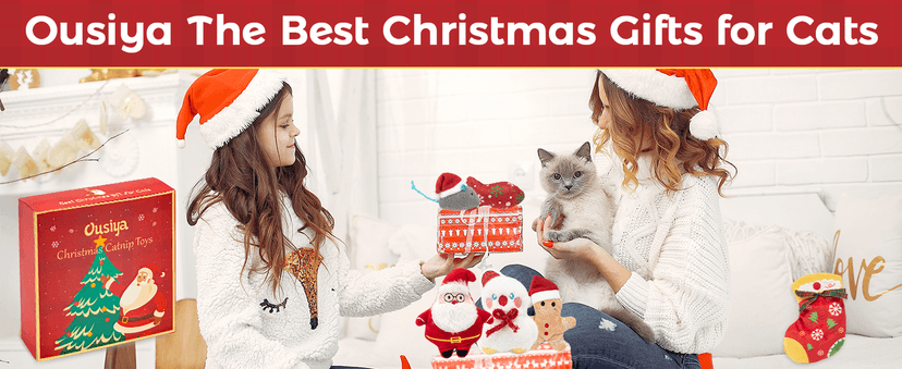 6 PCS Christmas Catnip Toys with Gift Box, Cat Toys Set for Christmas, Interactive Cat Chew Toy for Indoor Cats Kittens Kitty