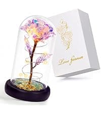 Childom Birthday Gifts for Women,Flowers for Delivery Prime,Colorful Rainbow Light Up Rose in A Glass Dome,Christmas Rose Gifts for Her Mom Women Wife Girl Grandma on Christmas Anniversary Valentines